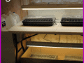 You do not need expensive grow lights. Just head to your hardware store and pick up some low cost shop lights. Buy one warm and one cool bulb to put in them so your plants are getting the full spectrum of light (they will reward you for this). You won't want to miss the rest of our 10 Seed Starting Garden Hacks! These DIY tips and ideas will help you be the best gardener around!