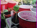 If you are short on containers for your transplants, pick up some cheap solo cups. I love to use these for deep rooted veggies like tomatoes. They also work well for sensitive plants who don’t like their roots messed with. Poke some holes in the bottom then cut them in half. Tape them back together and transplant your seedlings into them. When it is time to put them in the garden, simply cut the tape and the plants pop out easily. Check out the rest of our 10 Seed Starting Garden Hacks!