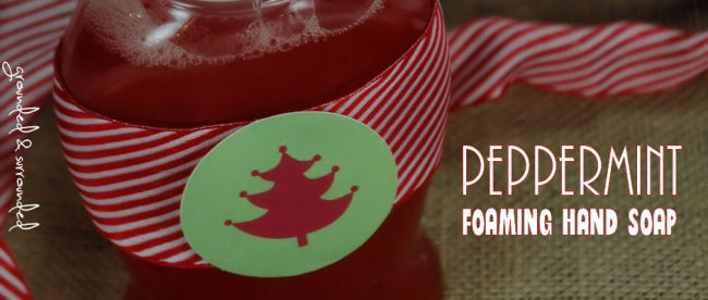 I love a 5 minute Christmas Gift Project! This foaming hand soap is quick and easy to make, and will end up costing you less than $3 per gift. This is an excellent price range for teachers, neighbors, and acquaintances. www.groundedandsurrounded