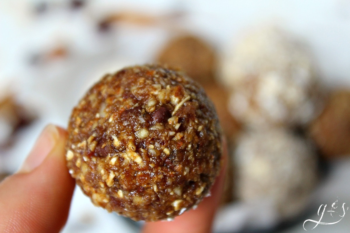 The BEST Pumpkin Chocolate Chip Energy Bites | These healthy no bake snacks are easy to prepare and packed with all the flavors of pumpkin pie! All the delicious tastes of fall are present: pumpkin puree, pumpkin pie spice, and molasses. This clean eating food is perfect for a skinny dessert, post workout pick-me-up, breakfast side, or a fun snack for families who love autumn flavors. You will love the addition of oatmeal and honey in this sweet recipe too! 