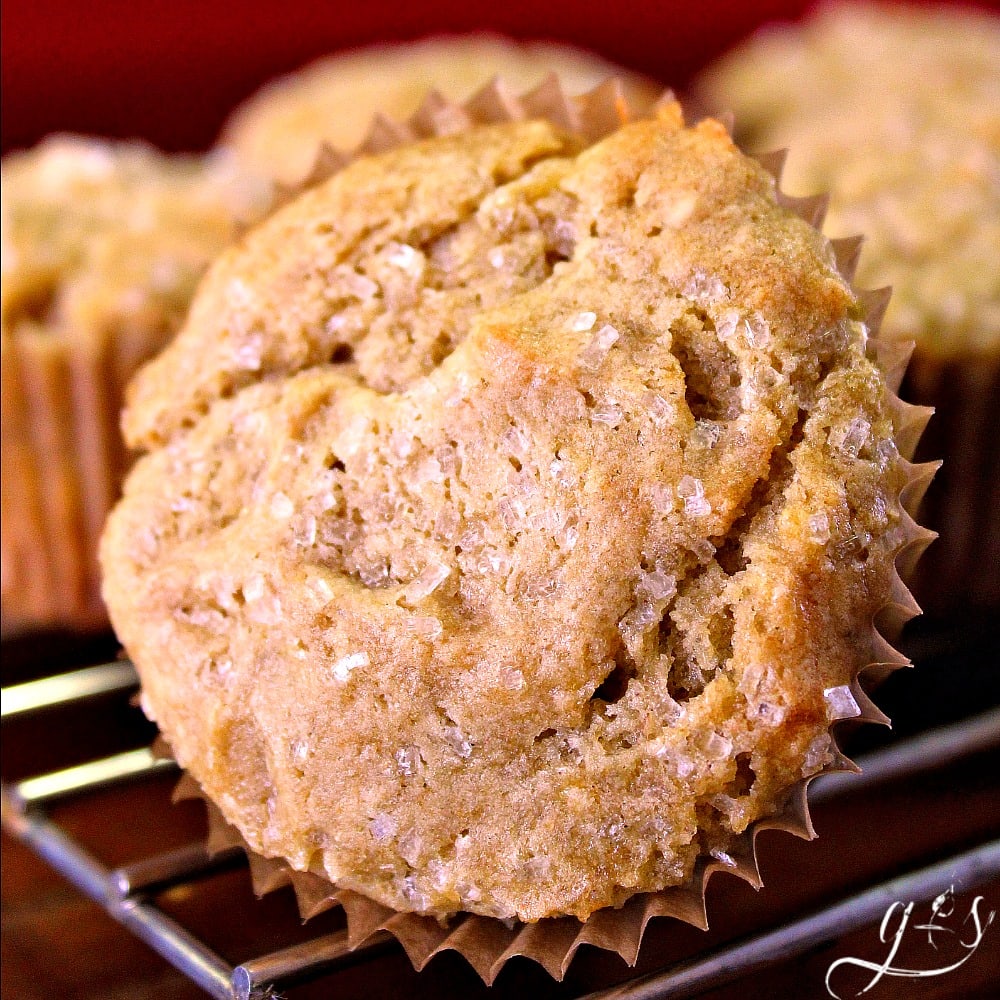 I love baking recipes that are healthy and easy! These Simply Amazing Banana Muffins are the best recipe I have found so far! I love the fact that it takes less than 30 minutes (ONLY 8 ingredients!) to make this recipe from start to warm, gooey, finish! It's your choice if you want to add chocolate chips or nuts. I have also had success using whole wheat flour and baking this batter in small loaf pans and giving them as teacher or neighbor gifts!