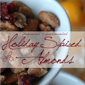 FB Holiday Spiced Almonds