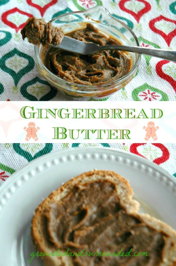 If Cookie Butter had a sweet, adorable, and jolly cousin, it would be none other than the tasty creation we call, Gingerbread Butter. This festive delicacy is my new addiction. This butter is wonderful on toast, crackers, as a dip for fruit or eaten by the spoonful right out of the jar. Be still my heart...this stuff is AMAZING! https://happihomemade.com/recipe/move-cookie-butter-gingerbread-butter/