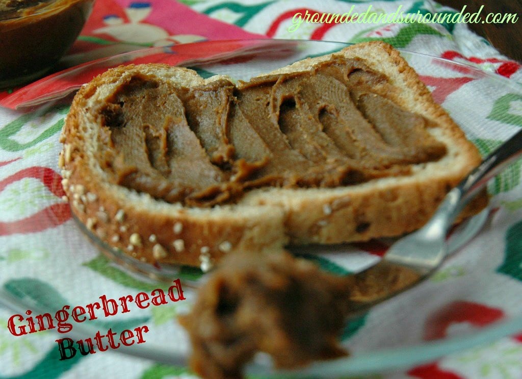 If Cookie Butter had a sweet, adorable, and jolly cousin, it would be none other than the tasty creation we call, Gingerbread Butter. This festive delicacy is my new addiction. This butter is wonderful on toast, crackers, as a dip for fruit or eaten by the spoonful right out of the jar. Be still my heart...this stuff is AMAZING! https://happihomemade.com/recipe/move-cookie-butter-gingerbread-butter/