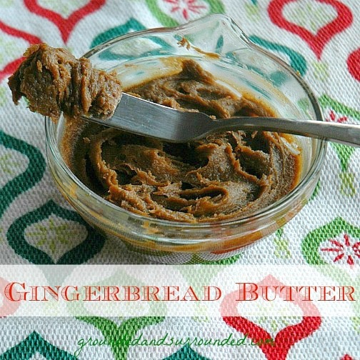 If Cookie Butter had a sweet, adorable, and jolly cousin, it would be none other than the tasty creation we call, Gingerbread Butter. This festive delicacy is my new addiction. This butter is wonderful on toast, crackers, as a dip for fruit or eaten by the spoonful right out of the jar. Be still my heart...this stuff is AMAZING! https://happihomemade.com/recipe/move-cookie-butter-gingerbread-butter/