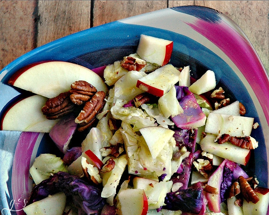 This warm, healthy, and colorful salad is simple to make and full of flavor! It is a low calorie recipe and pairs perfectly with any protein and will turn everyone at the table into a cabbage lover! The apples and pecans are just the "icing on the cake"! Find more gluten free and dairy free salads at HappiHomemade. Clean eating has never been so fun. Use all of your vegetable garden cabbage in this vegetarian salad.