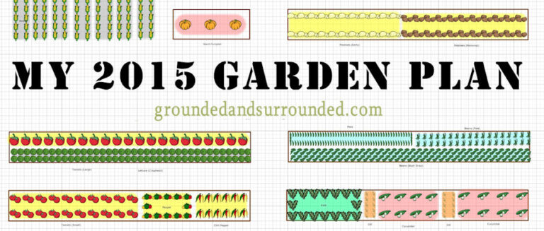 5,000+ Sq Ft Vegetable Garden Plan