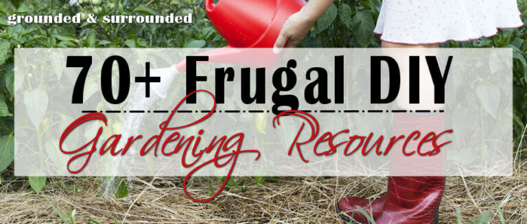 70+ Frugal Gardening Ideas