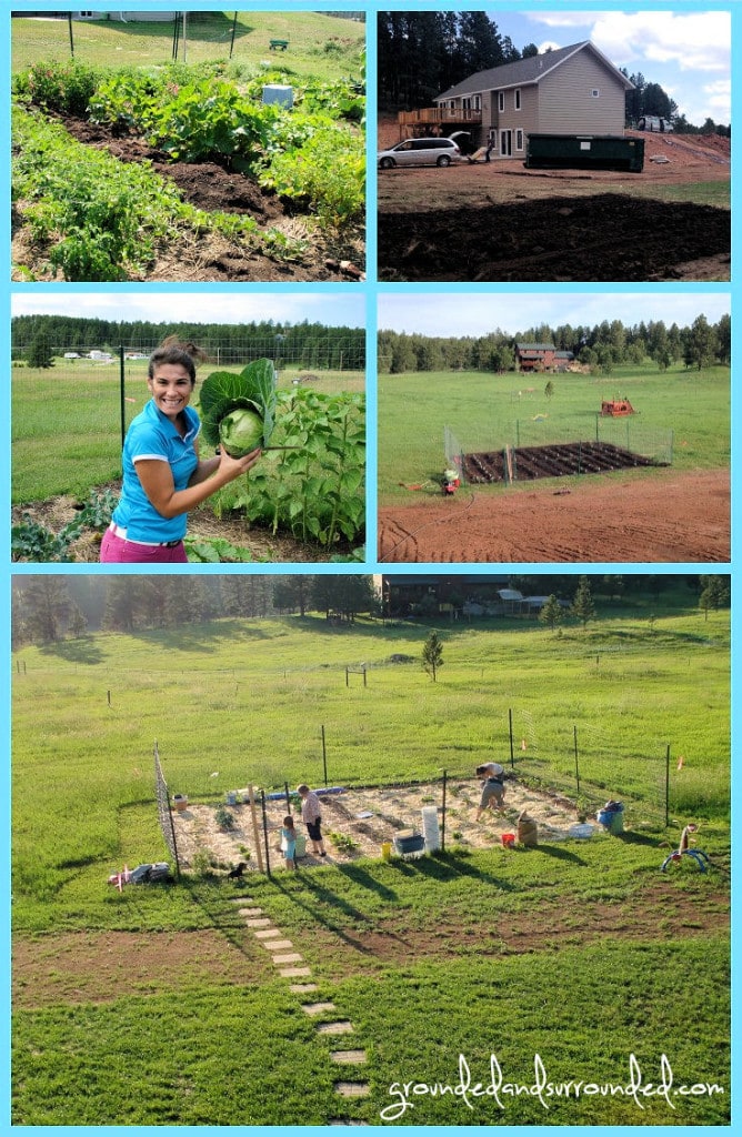 Five photos of Sarah Koontz's first vegetable garden.