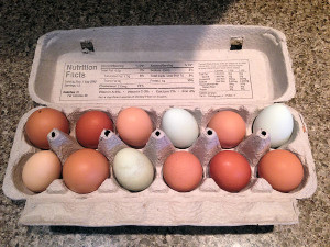 Backyard Chicken eggs are so beautiful, you are going to want to display them on your counter-top!