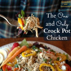 This healthy chicken is so versatile that I use it in everything from enchiladas and taco salads to chicken lasagna and Greek inspired salads. I love having this already cooked protein in my fridge during the week to top salads or use in tacos for a quick and easy meal. This recipe would be perfect to double and put half in the freezer! Plus, it's gluten-free too! groundedandsurrounded.com