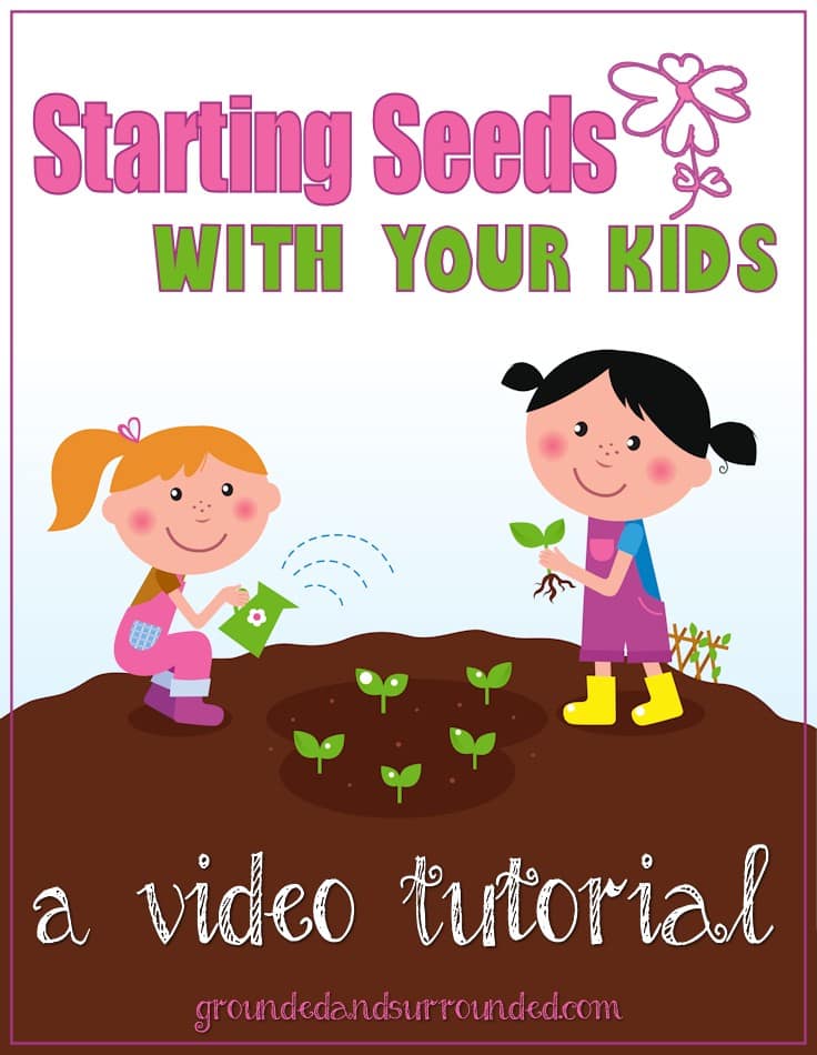 Are you going to invite your children to start seeds with you indoors this season? This article includes a free worksheet, video tutorial, and ideas and tips for seed starting success. You will be amazed at how much fun your children have playing in the dirt with you! Kids love DIY projects just as much as adults so give them some soil and containers and let them get their hands dirty! 