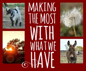 Ever wonder if you have what it takes to become a modern day homesteader? Check out this girl's story, you may be surprised by her definition of homesteading. Bring on the gardening, backyard chickens, and simple life! https://happihomemade.com/modern-day-homesteader/