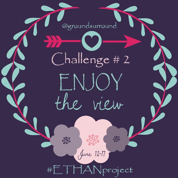 Do you ever get so caught up in your to-do list that you forget to stop and enjoy the view? This week your #ETHANproject challenge is to Enjoy the View. 
