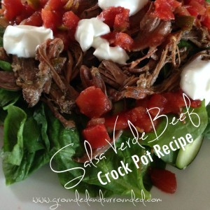Salsa Verde Beef linky