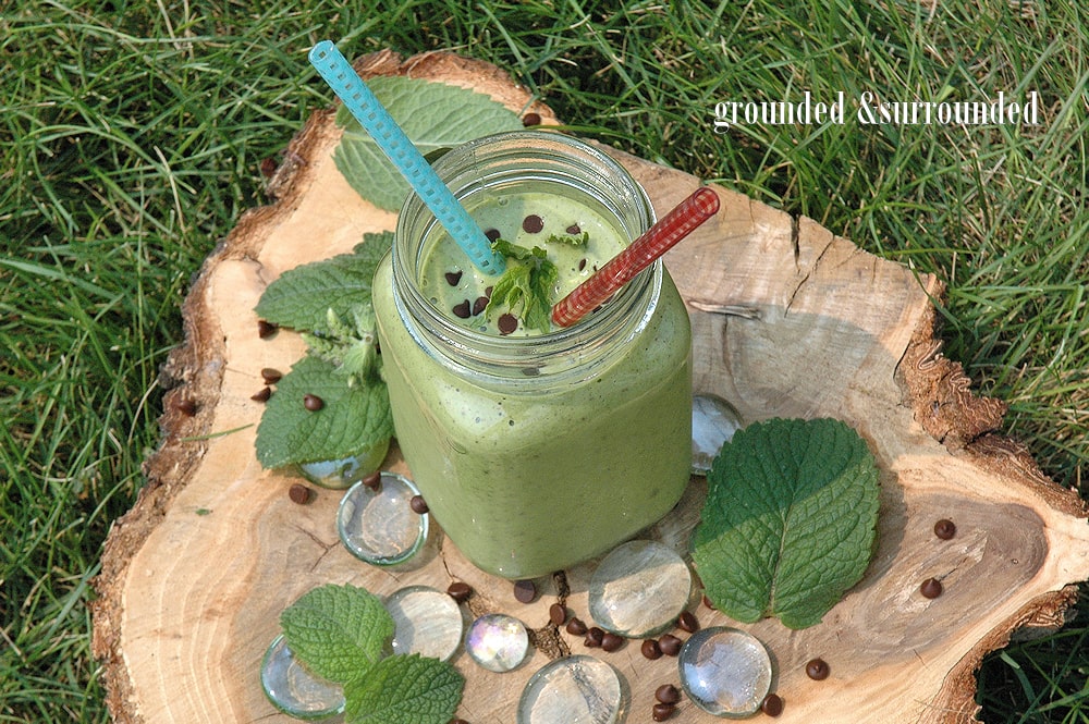 Nutritious Mint Chip Smoothie With spinach, ground flax seed, and hemp (or chia) seeds this is your meal replacement for breakfast - lunch - or dinner! Add a protein punch with the Greek yogurt and the subtle sweetness of raw local honey and banana and you’ve got a powerful combination of super foods. Try this shake if you are craving ice cream but are looking for weight loss or diet recipes to quench those cravings!