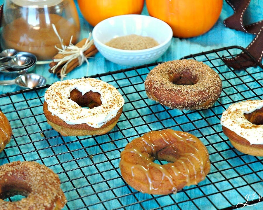 purely pumpkin donuts1