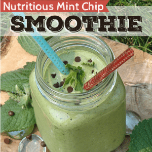 Nutritious-Mint-Chip-Smoothie sq