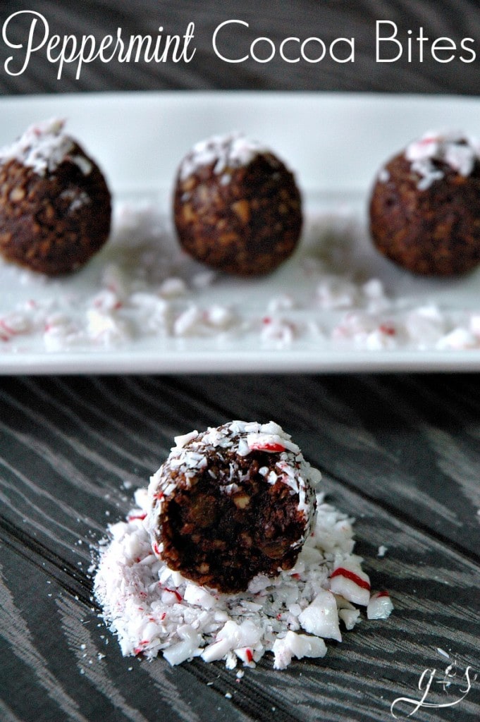 These - healthy - no bake - raw - 5 Ingredient Peppermint Cocoa Energy Bites are the BEST and every bit as delicious as they sound. Chocolate + Peppermint = BLISS! Gluten free and sugar free, these little holiday protein treats use the most simple of ingredients: nuts, dates, cocoa powder, & peppermint extract. Roll in crushed candy canes or shredded coconut for an added dose of yumminess! 