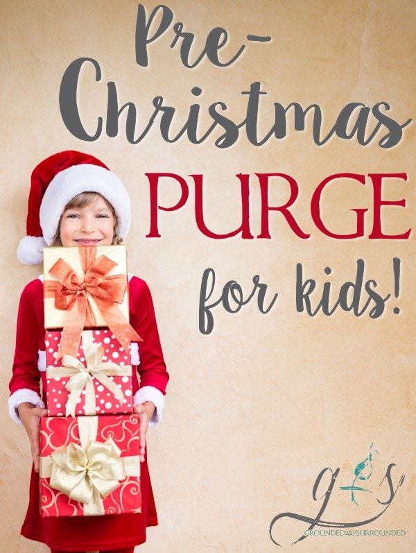 Clutter is both my constant companion (I have 2 grade school kids!) and a threat to my peace of mind. I am always looking for new ways to control the clutter (toys, games, clothes) in my home, and this Pre-Christmas Purge has been a LIFESAVER for our family! I swear organization is my love language! https://happihomemade.com/pre-christmas-purge-for-kids/