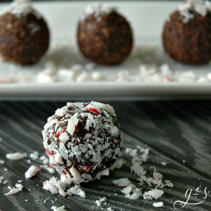 These - healthy - no-bake - raw - 5 Ingredient Peppermint Cocoa Energy Bites are every bit as delicious as they sound. Chocolate + Peppermint = BLISS! Gluten free and sugar free, these little holiday treats use the most simple of ingredients: nuts, dates, cocoa powder, & peppermint extract. Roll in crushed candy canes or shredded coconut for an added dose of yumminess! www.groundedandsurrounded.com/recipe/peppermint-cocoa-bites/