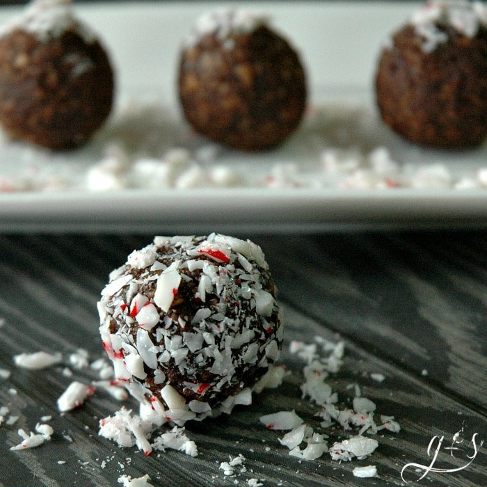 These - healthy - no bake - raw - 5 Ingredient Peppermint Cocoa Energy Bites are the BEST and every bit as delicious as they sound. Chocolate + Peppermint = BLISS! Gluten free and sugar free, these little holiday protein treats use the most simple of ingredients: nuts, dates, cocoa powder, & peppermint extract. Roll in crushed candy canes or shredded coconut for an added dose of yumminess! 