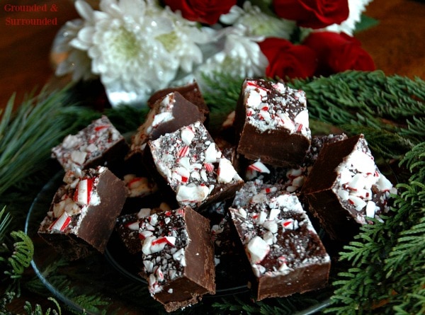 A plate of dark chocolate Christmas goodies.