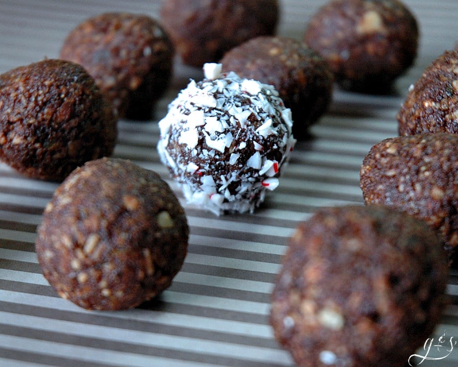 These - healthy - no bake - raw - 5 Ingredient Peppermint Cocoa Energy Bites are the BEST and every bit as delicious as they sound. Chocolate + Peppermint = BLISS! Gluten free and sugar free, these little holiday protein treats use the most simple of ingredients: nuts, dates, cocoa powder, & peppermint extract. Roll in crushed candy canes or shredded coconut for an added dose of yumminess! 