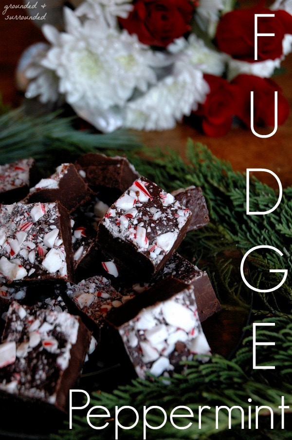 Only 4 simple ingredients and foolproof! If you can melt chocolate and crush candy canes you can make this easy and delicious dark chocolate Christmas treat. This is the BEST fudge recipe to give as last minute homemade holiday gifts and perfect for your next cookie exchange! www.groundedandsurrounded.com/recipe/peppermint-fudge/ ‎