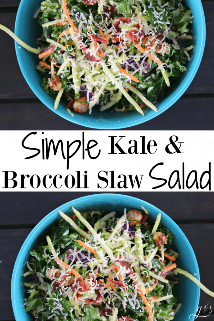 Kale Broccoli Slaw Salad Recipe | This healthy and easy kale salad is the perfect addition to any meal! Clean eating and gluten free can be delicious! This salad is packed with whole foods such as kale, broccoli, and pecans. Perfect as a light lunch or holiday side dish! Make it dairy free by omitting the Parmesan cheese. The broccoli slaw dressing is quick to prepare in your blender. Try adding a touch of sweetness with dried cranberries. Make it vegetarian by not adding the turkey bacon.