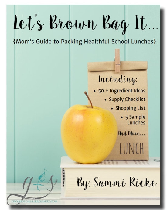 Healthy School Lunch Ideas with a brown bag lunch