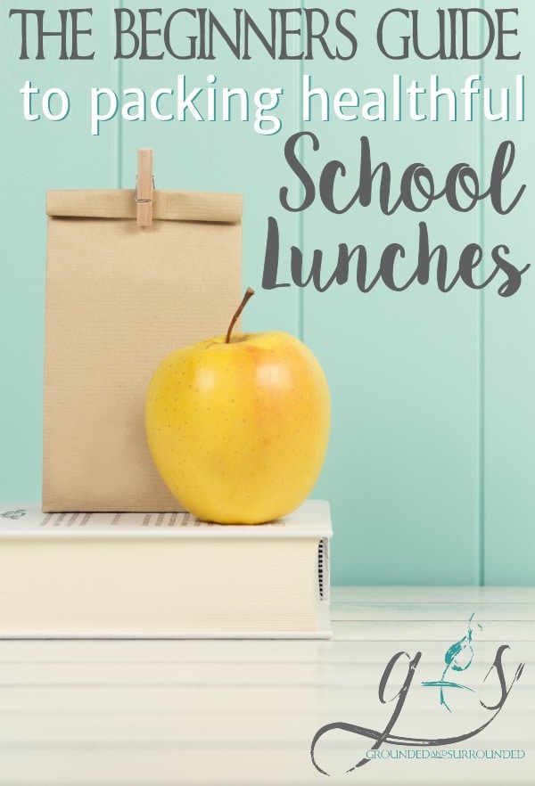 Healthy School Lunch Ideas