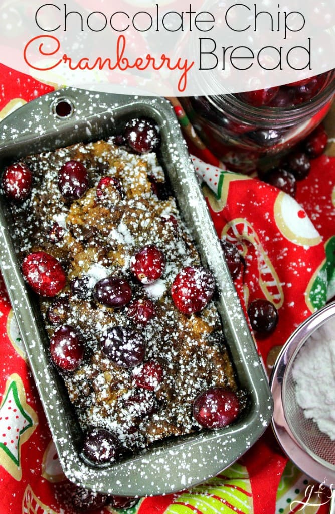 These gluten free Cranberry Chocolate Chip Bread loaves are a sweet and easy treat to bake! Baking your favorite recipes is always fun, especially during the holidays! The fresh tart cranberries are tamed by the addition of mini chocolate chips and coconut sugar. Grab the bag of frozen cranberries you bought during Christmas and bake this healthy quick bread. This is the best "healthified" cranberry bread I have found!