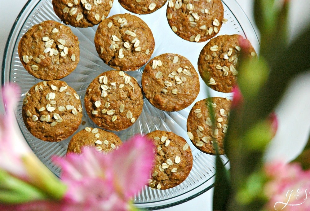 These easy Chunky Monkey Muffins have a surprise twist! Not only does this healthy breakfast recipe contain bananas, peanut butter (or PB2), and oatmeal...but a surprise chocolate center! If you want to "WOW" your friends and family with a new recipe this is it! It's a fun idea for kids after school snacks too! These also contain simple and nourishing ingredients such as coconut oil, coconut sugar, and oats! 