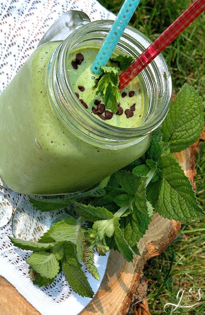 Nutritious Mint Chip Smoothie With spinach, ground flax seed, and hemp (or chia) seeds. This is your meal replacement for breakfast - lunch - or dinner! Add a protein punch with Greek yogurt and the subtle sweetness of raw local honey and banana. This shake is a powerful combination of super foods. Try this recipe if you are craving ice cream but are looking for weight loss or diet recipes to quench those cravings!