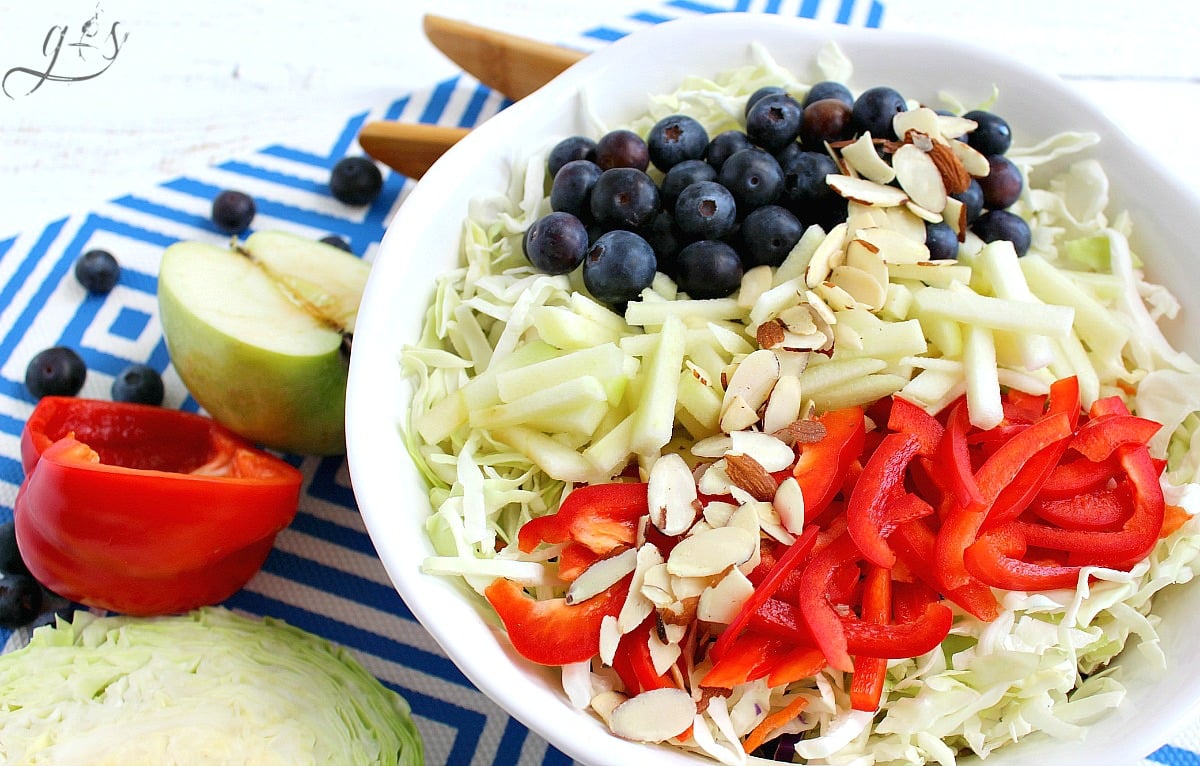 This healthy and easy RED, WHITE & BLUE Slaw Salad is the perfect addition to any summer BBQ! July 4th and Memorial Day are the perfect holidays for this festive and crowd-pleasing salad. This patriotic homemade salad is packed with whole foods such as crunchy cabbage, sweet blueberries, delicious red bell pepper, and tart apple. Bring the BEST clean eating and gluten-free coleslaw recipe to your next potluck! 