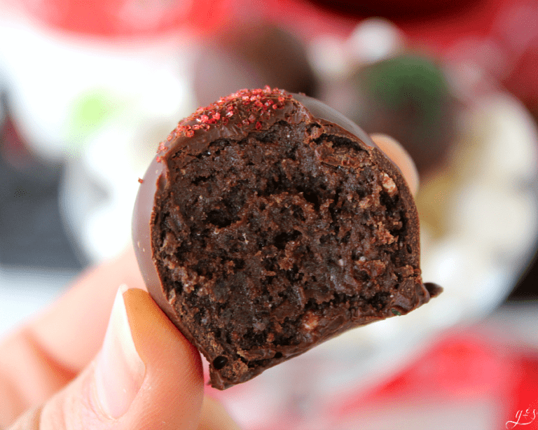 4 Ingredient Hot Cocoa Truffles