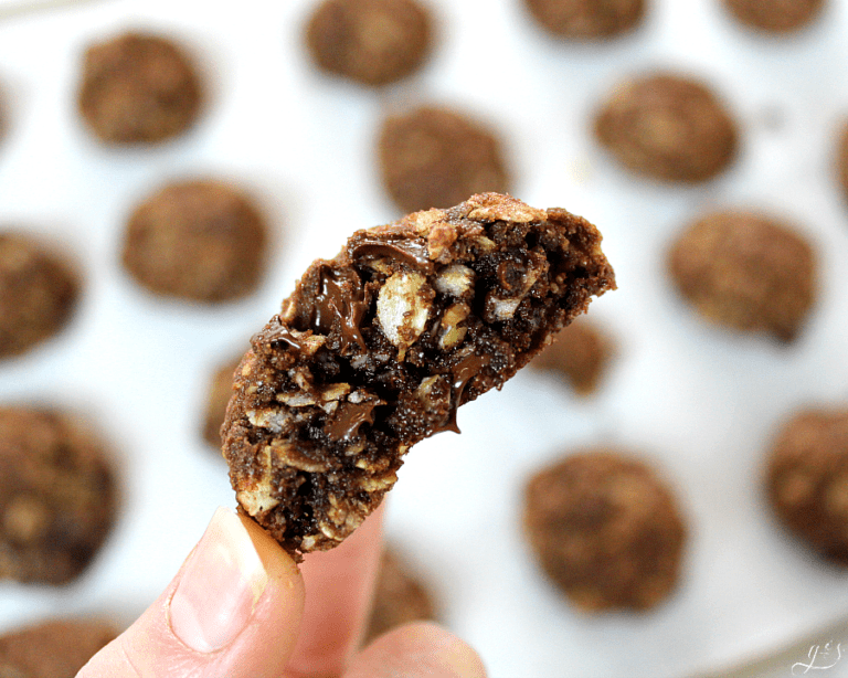 Double Chocolate Oatmeal Cookies (Easy Recipe)