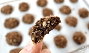 Gluten Free Chocolate Rebel Cookies - HappiHomemade with Sammi Ricke