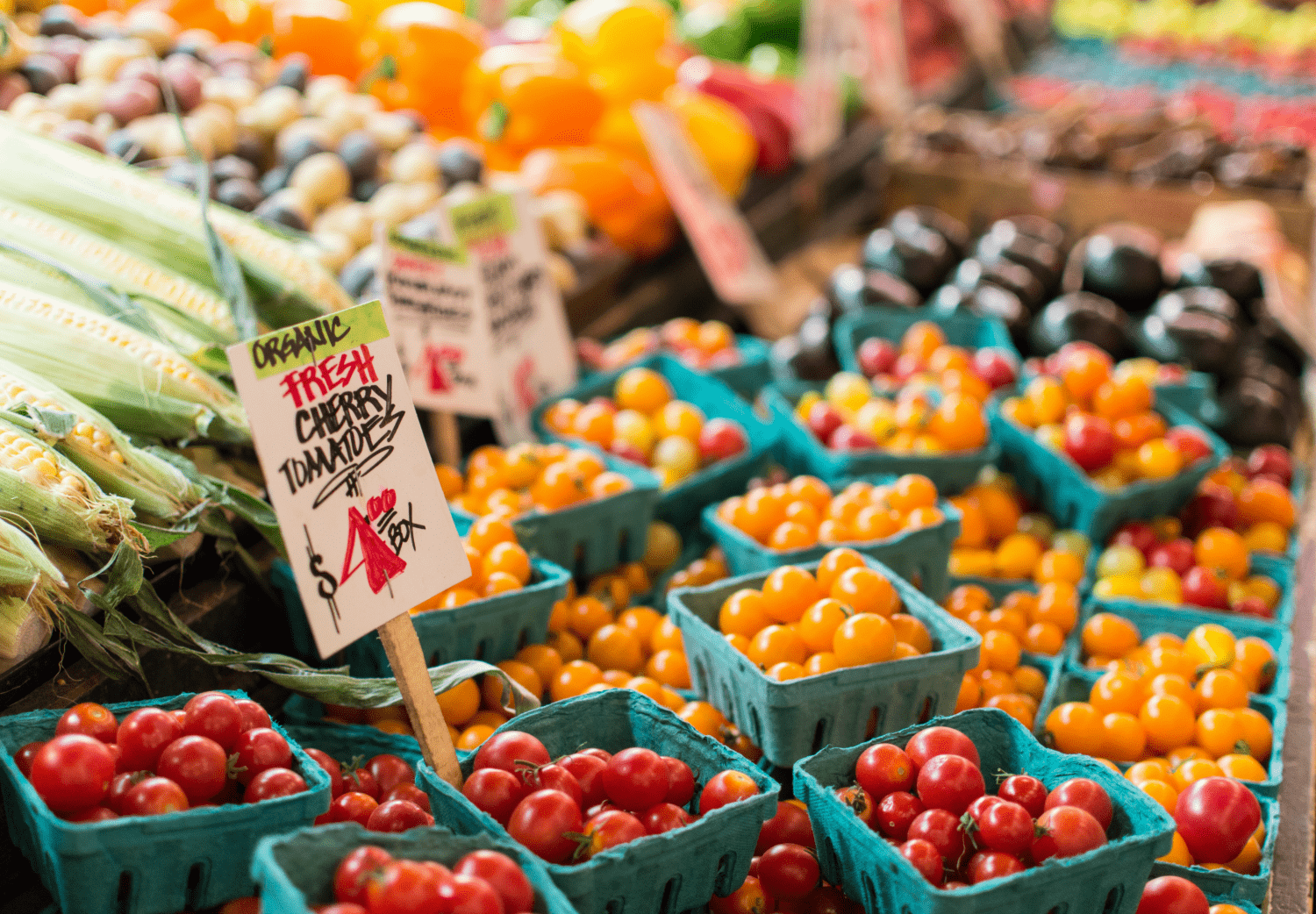 Fresh red and yellow cherry tomatoes for sale at a market. 