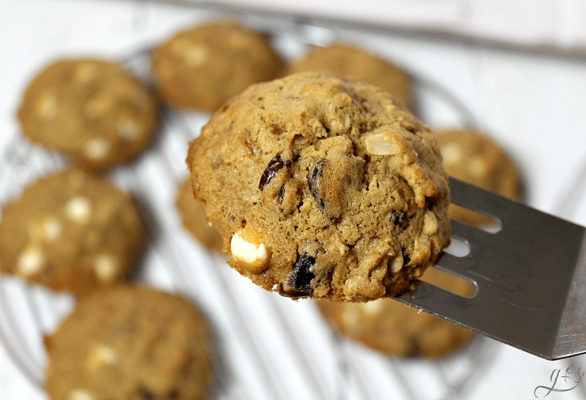 The BEST Gluten Free Oatmeal Cookies | This easy cookie recipe has it all- chocolate, dried cranberries, coconut oil, and coconut sugar! These cookies are easy to prepare, soft and chewy in the center, and absolutely delicious. Use white chocolate chips for a truly special treat! Hot out of the oven these healthy oatmeal cookies are sweet and satisfying! There is no sugar (refined) and only healthy oil!