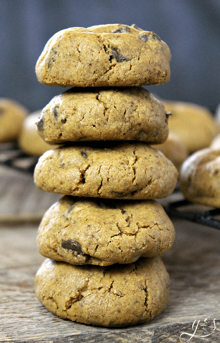 Flourless Peanut Butter Chocolate Chip Cookies Recipe