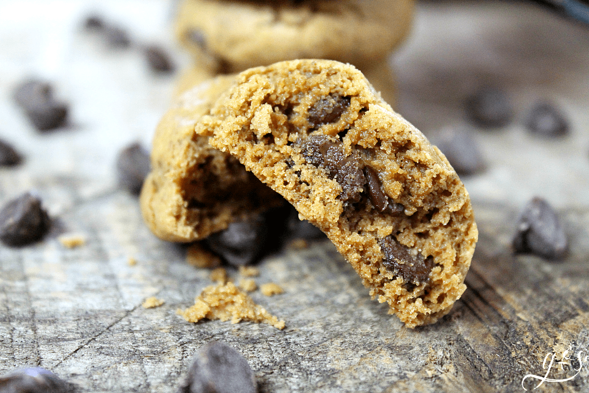 The BEST Flourless Peanut Butter Chocolate Chip Cookies | These little bites of goodness contain no flour, are super easy to make, and only contain 6 gluten free pantry ingredients. Refined sugar free, grain free, and clean eating these will quickly become your go-to dessert recipe especially for kids! Make them Paleo with almond butter (extra protein!) and dairy free with Enjoy Life chocolate chips. Baking recipes can be indulgent and healthy too! 