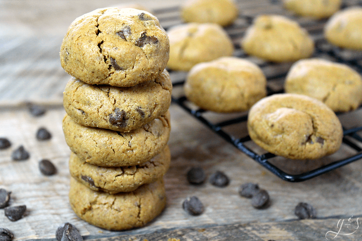 The BEST Flourless Peanut Butter Chocolate Chip Cookies | These little bites of goodness contain no flour, are super easy to make, and only contain 6 gluten free pantry ingredients. Refined sugar free, grain free, and clean eating these will quickly become your go-to dessert recipe especially for kids! Make them Paleo with almond butter (extra protein!) and dairy free with Enjoy Life chocolate chips. Baking recipes can be indulgent and healthy too! 