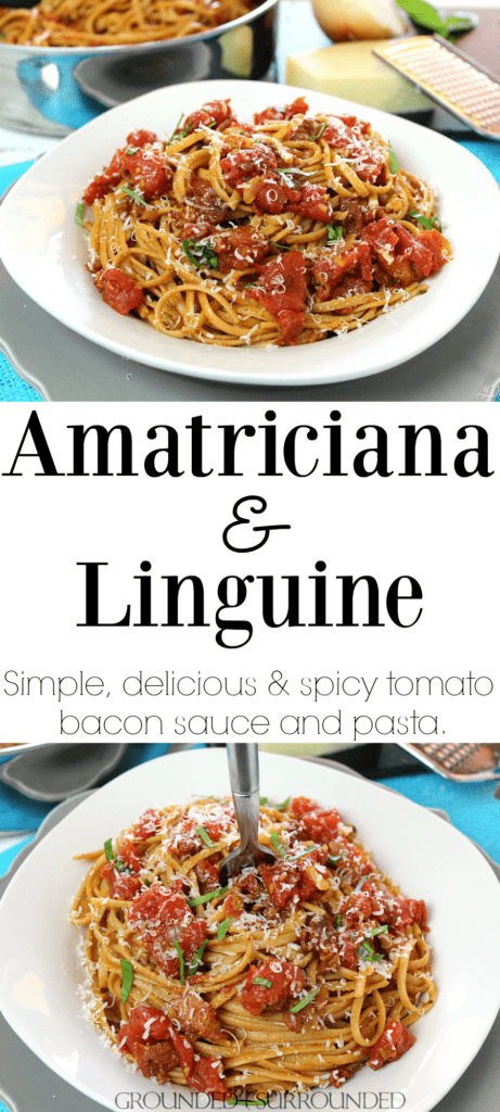 The BEST Amatriciana and Linguine | This easy pasta sauce recipe uses bacon, tomatoes, onions, garlic, and red chile pepper flakes to make a unique meal atop linguine, bucatini, spaghetti, or penne. Dinners like this can be made healthier, gluten-free, and clean eating by using spaghetti squash or sauteed veggies. Comfort food at it's finest with this simple and traditional Roman and Italian dish!