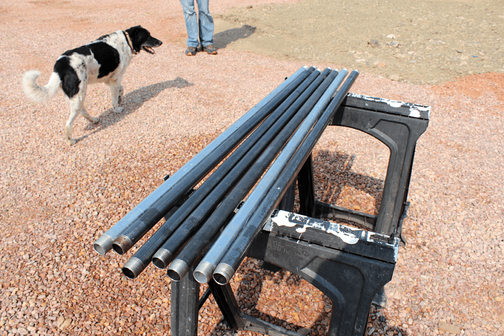 Steel pipes drying on saw horses.