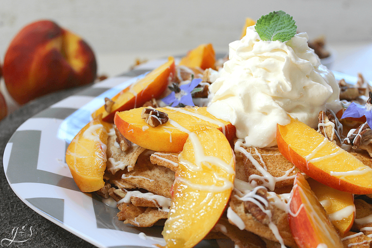 A plate of cinnamon pita chips, fresh peach slices, chopped pecans, melted white chocolate, and whipped cream. 