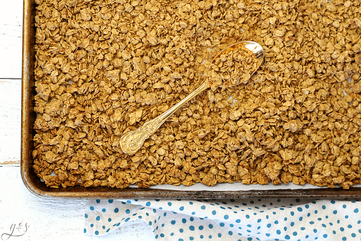 Overhead shot of a pan of Granola with a gold spoon in the corner.