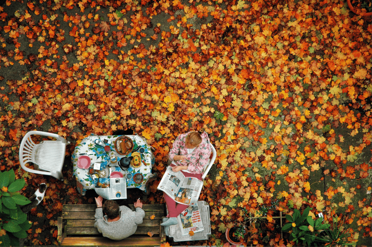 Fall Bucket List for Foodies sitting outside surrounded by leaves.