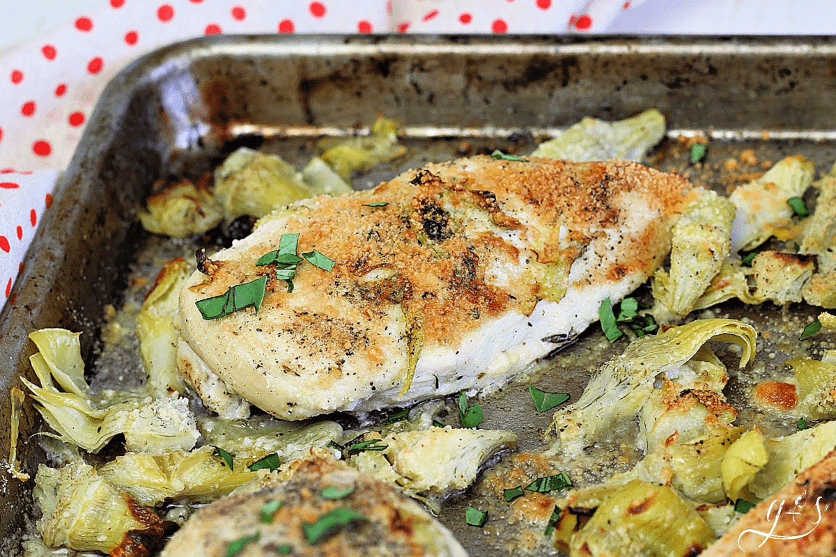 A tender chicken breast and artichoke hearts with a golden brown crust of Parmesan on top.